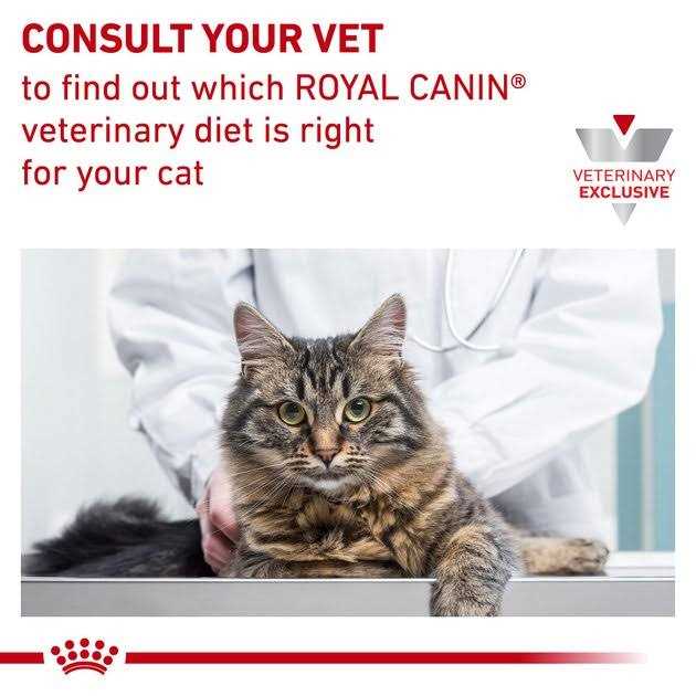 Adult Cat Weight Management Loaf in Sauce Wet Food Y354