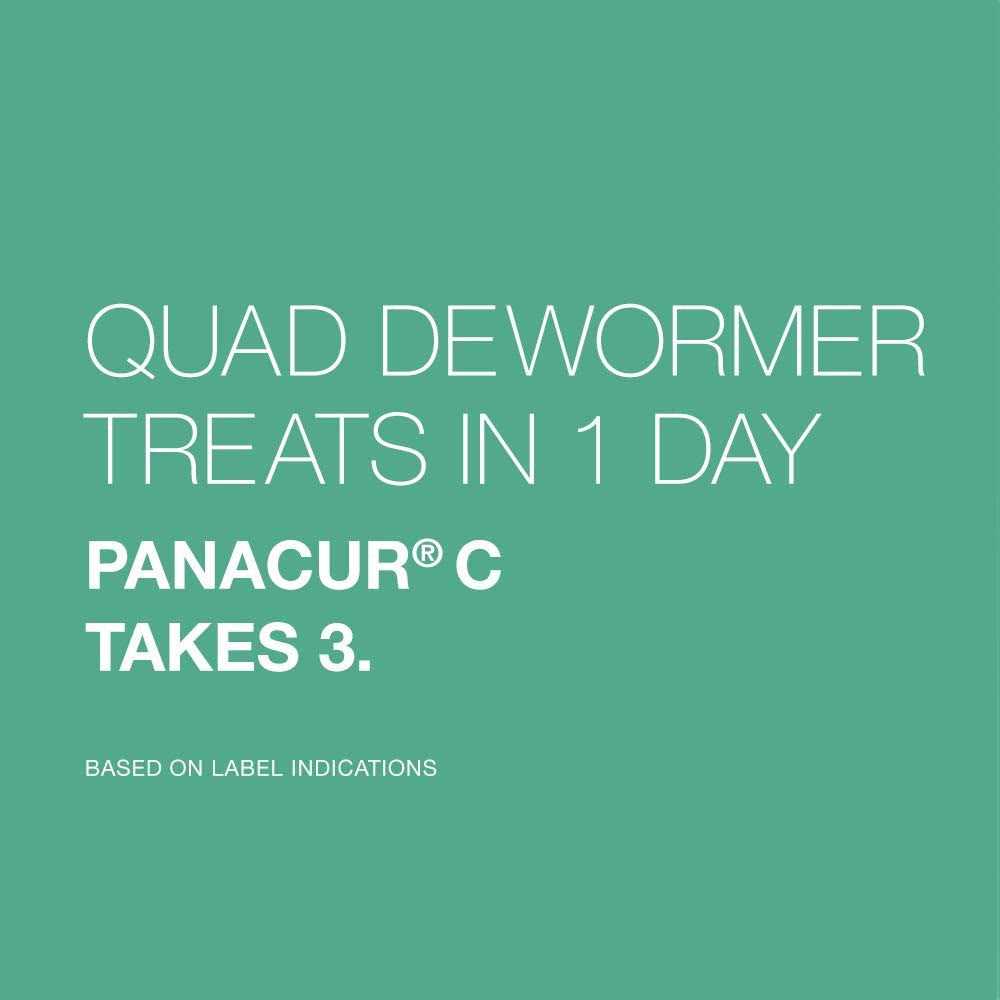 Large Dog Dewormer X544871
