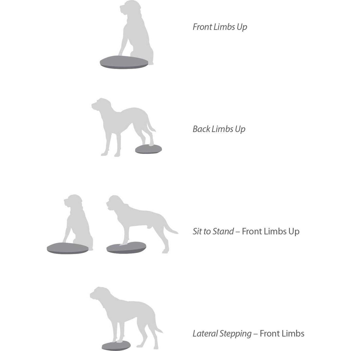 Balance Disc C212