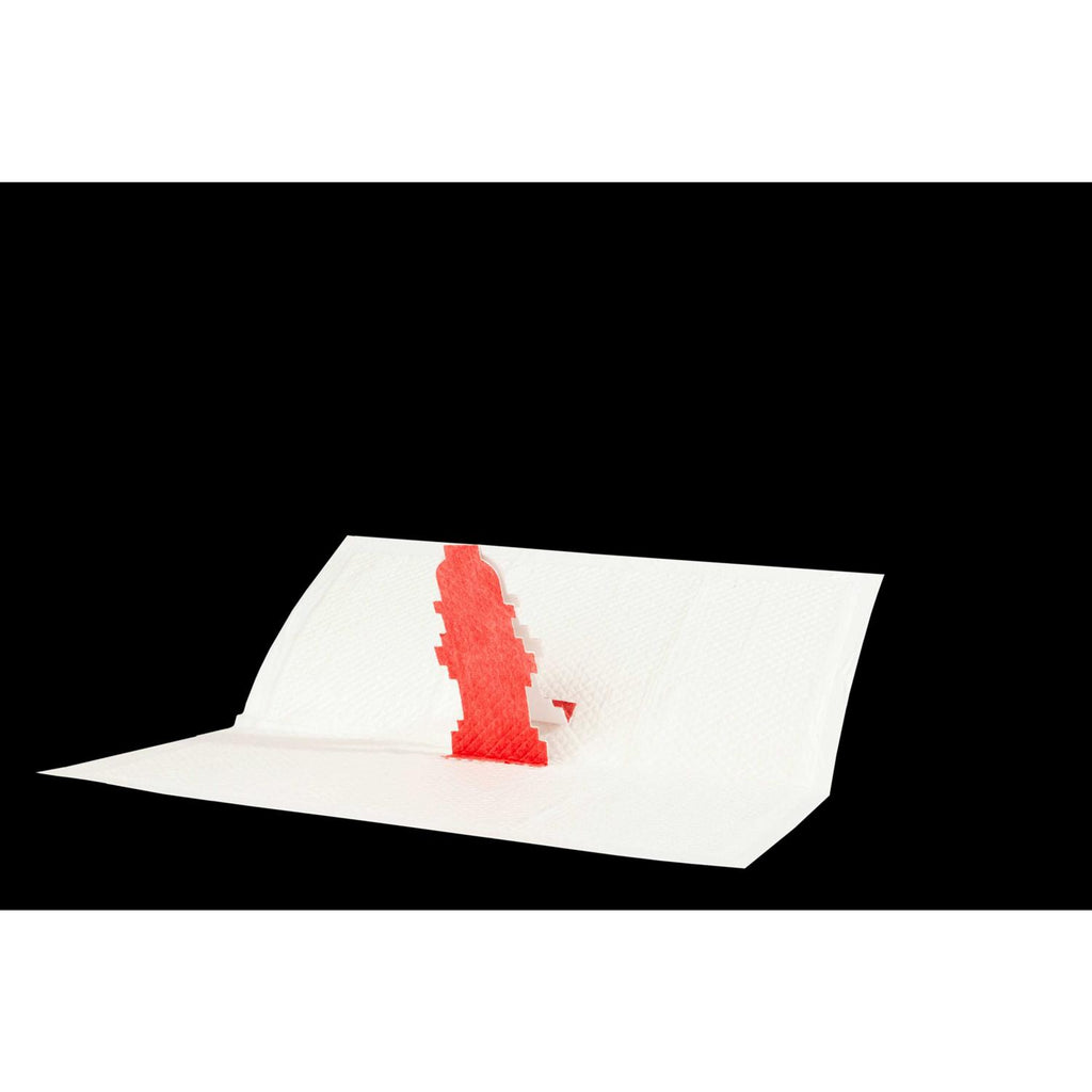 Pop-Up Pee Pad for Dogs K312439