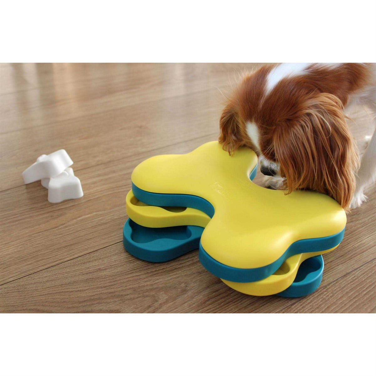 Dog Puzzle Toy B8578