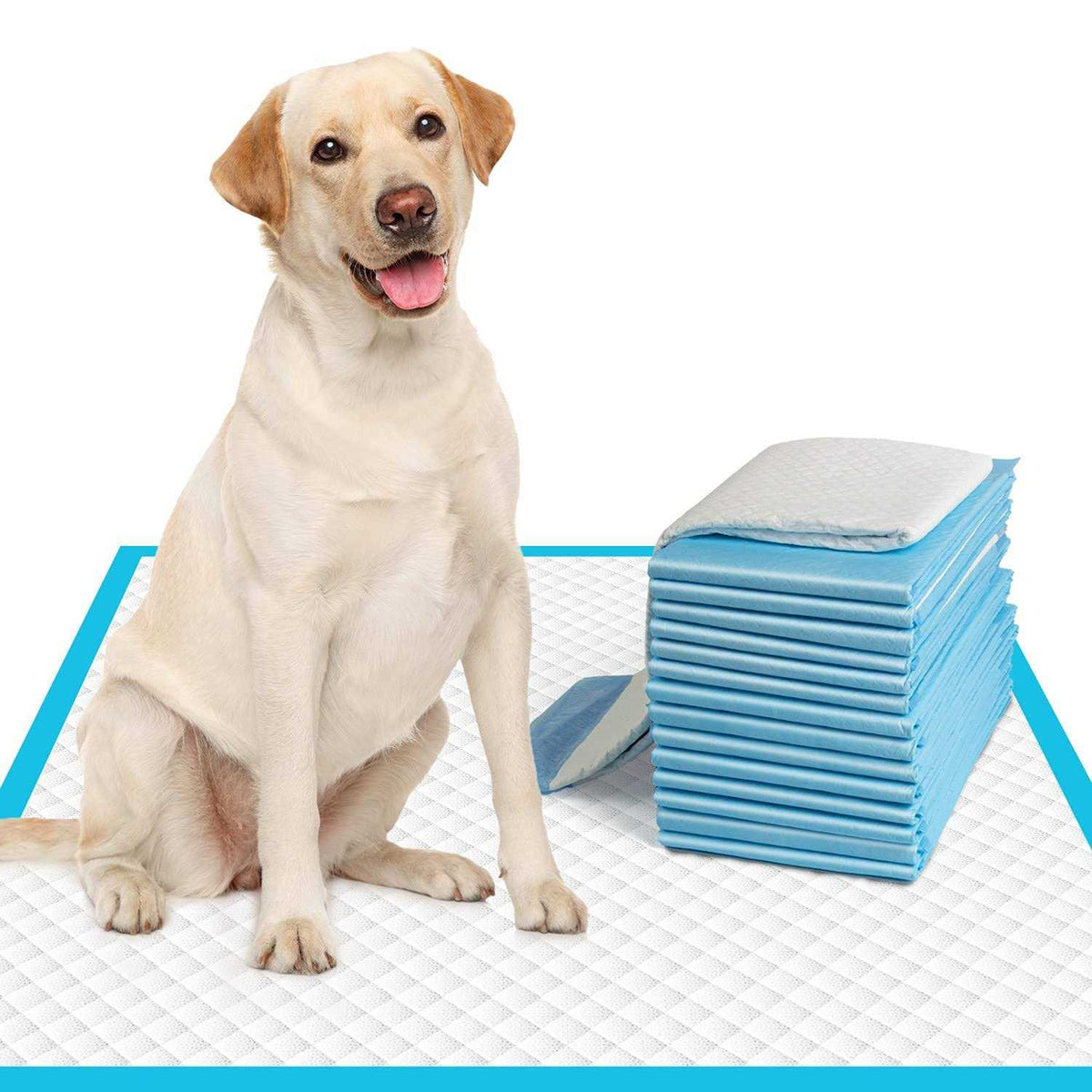Extra Large Super Absorbent Leak-Proof Dog Pee Pads L868