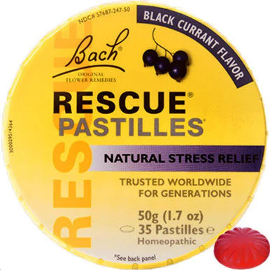 Black Currant Pastilles 50g O6843