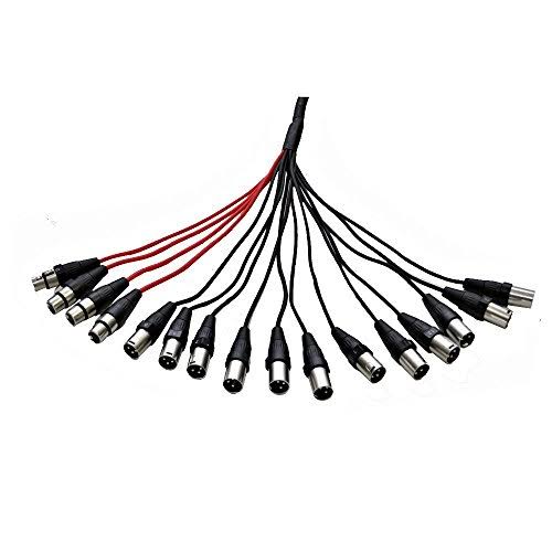 12-Channel XLR Snake Cable F2953