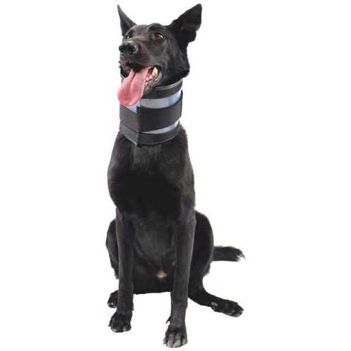 Cervical Collar R520