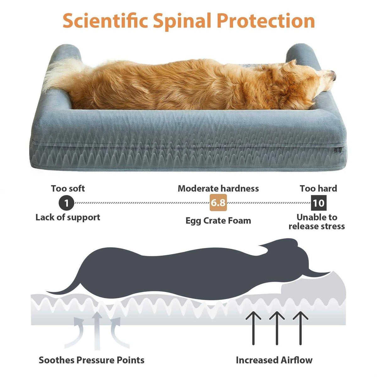 Orthopedic Egg Foam Dog Bed with Removable Washable Cover A684