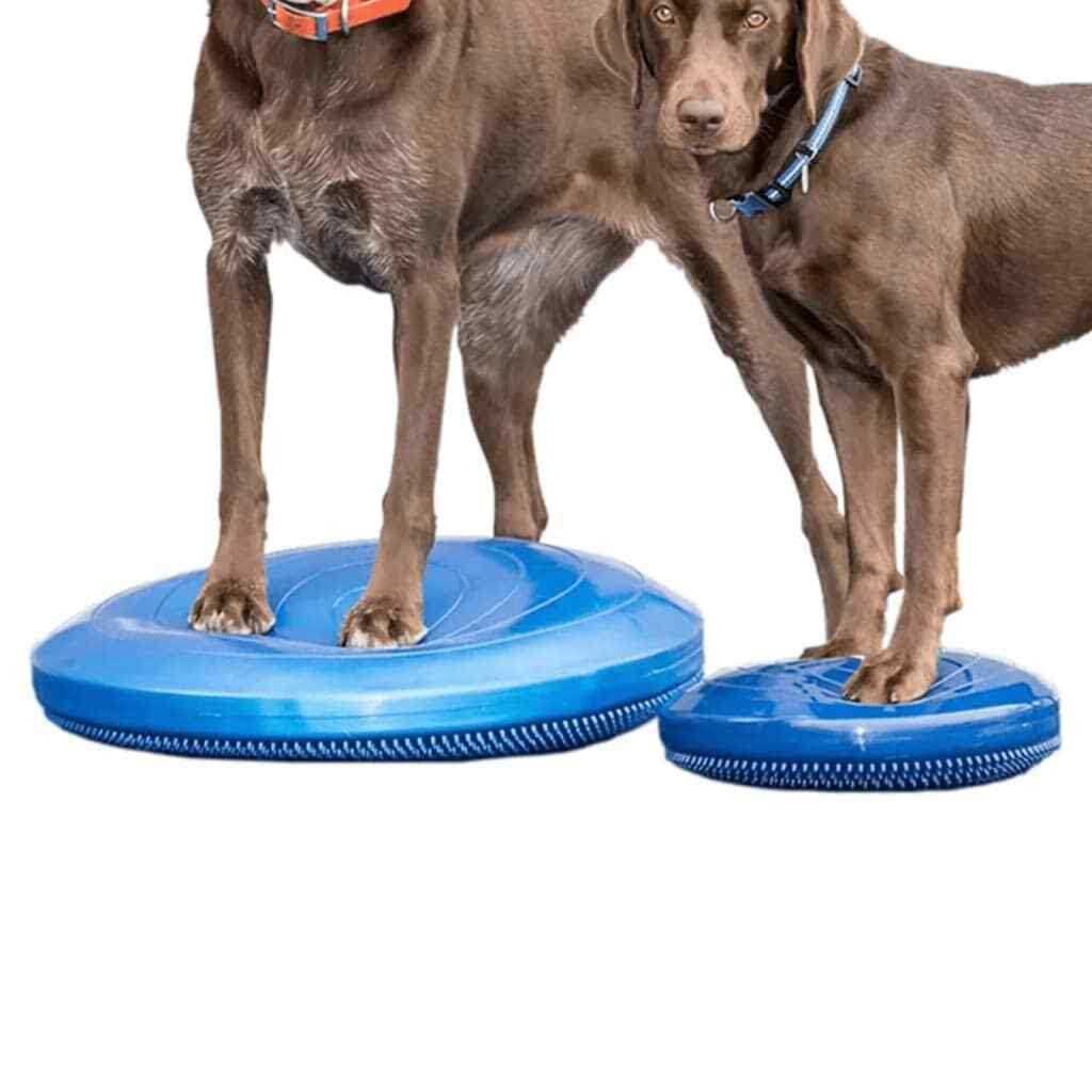 Balance Disc C212