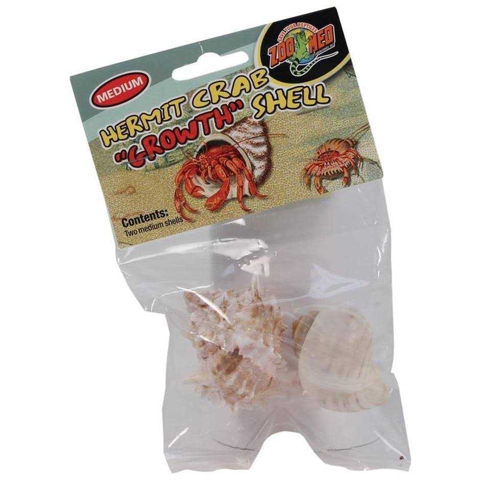 Hermit Crab Growth Shell G6914