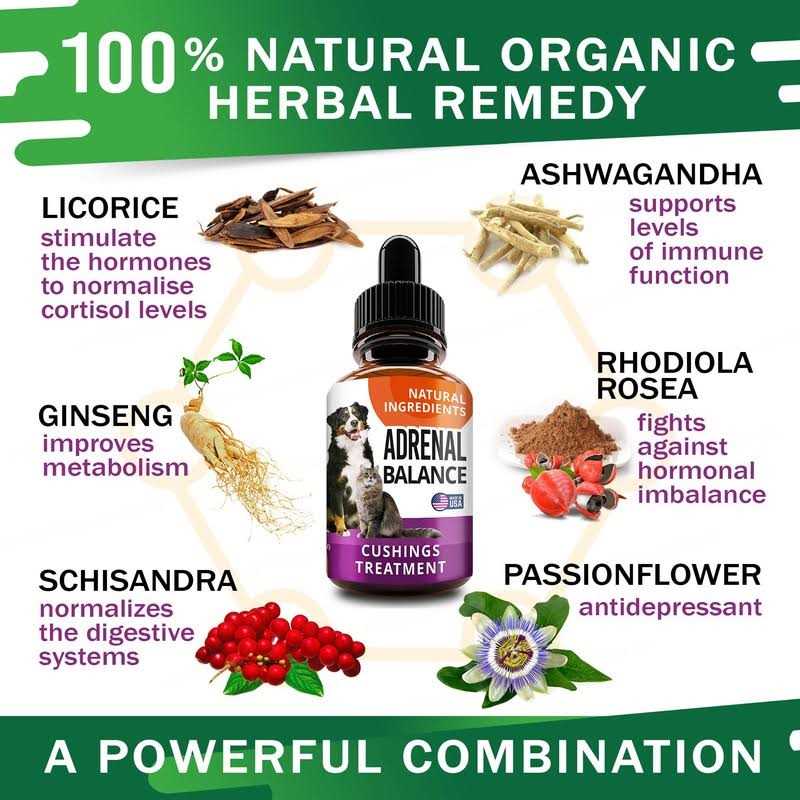 Adrenal Balance for Dogs and Cats N62266