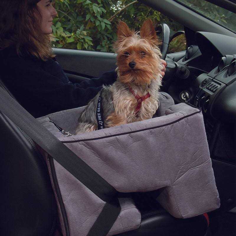 Booster Car Seat A379