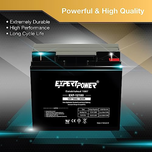12V 18Ah Lead Acid Battery T6960