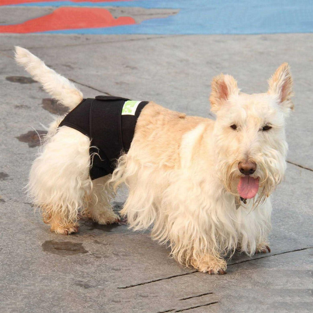 Dog Wrap X5352