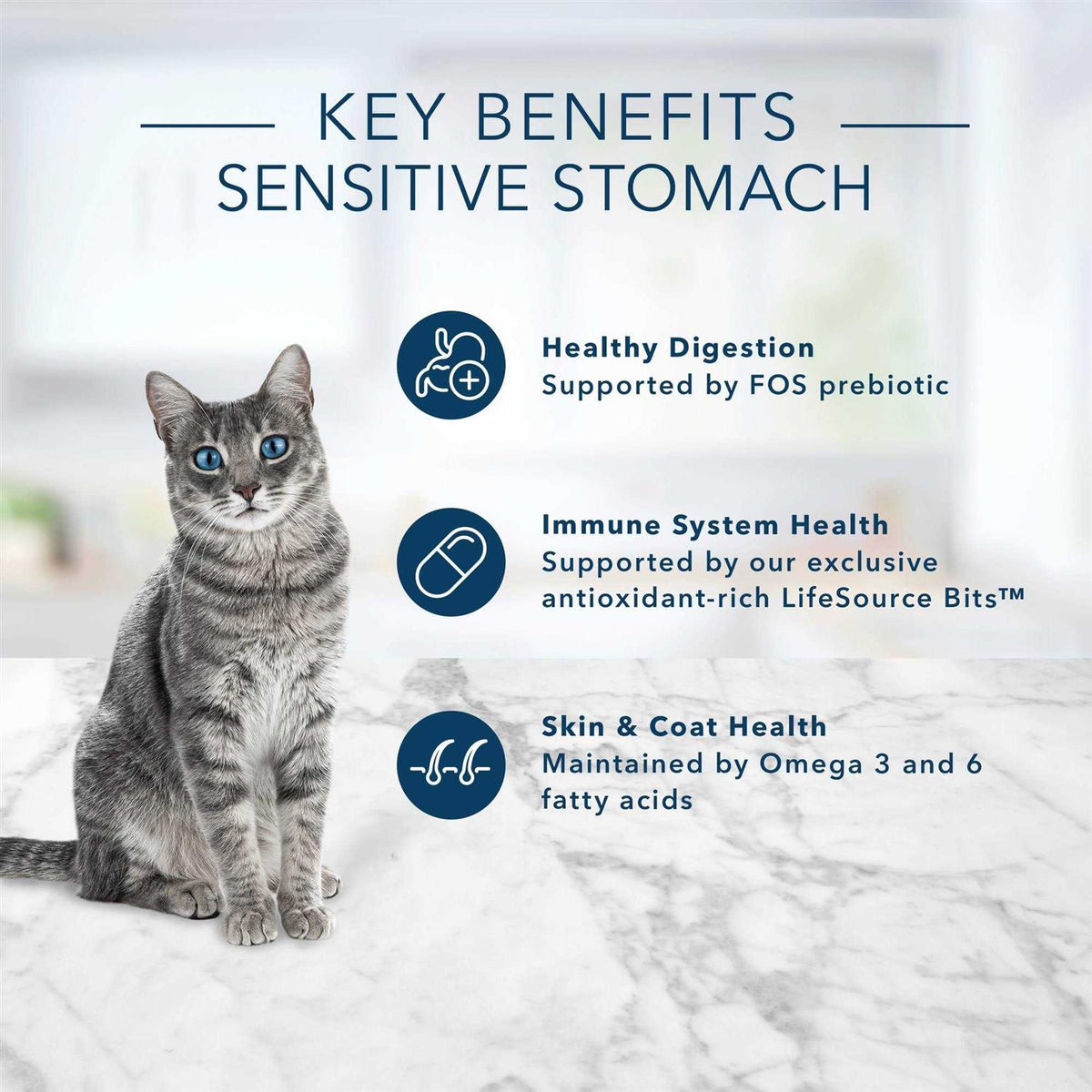 Adult Cat Dry Food H647275