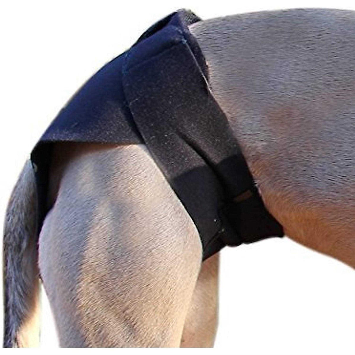 Dog Wrap X5352