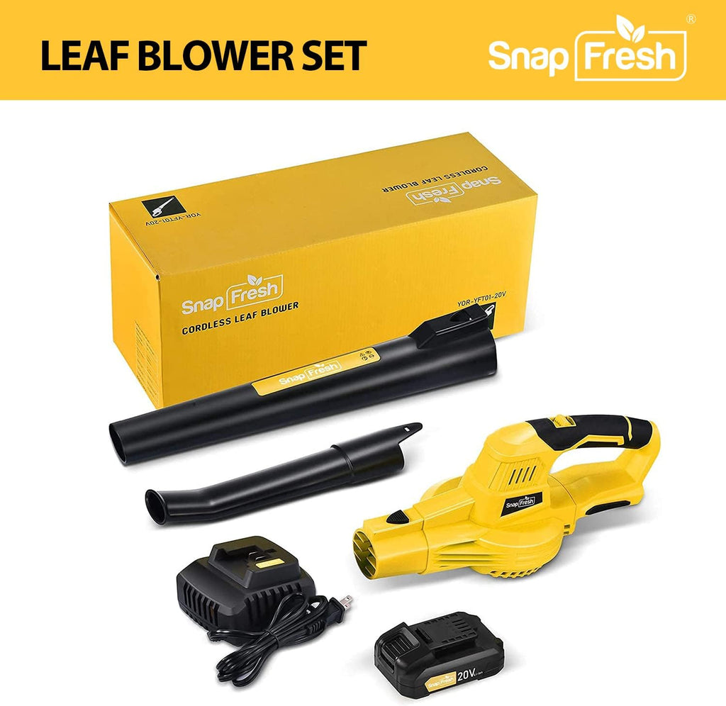 20V Cordless Electric Leaf Blower with Battery & Charger E131030
