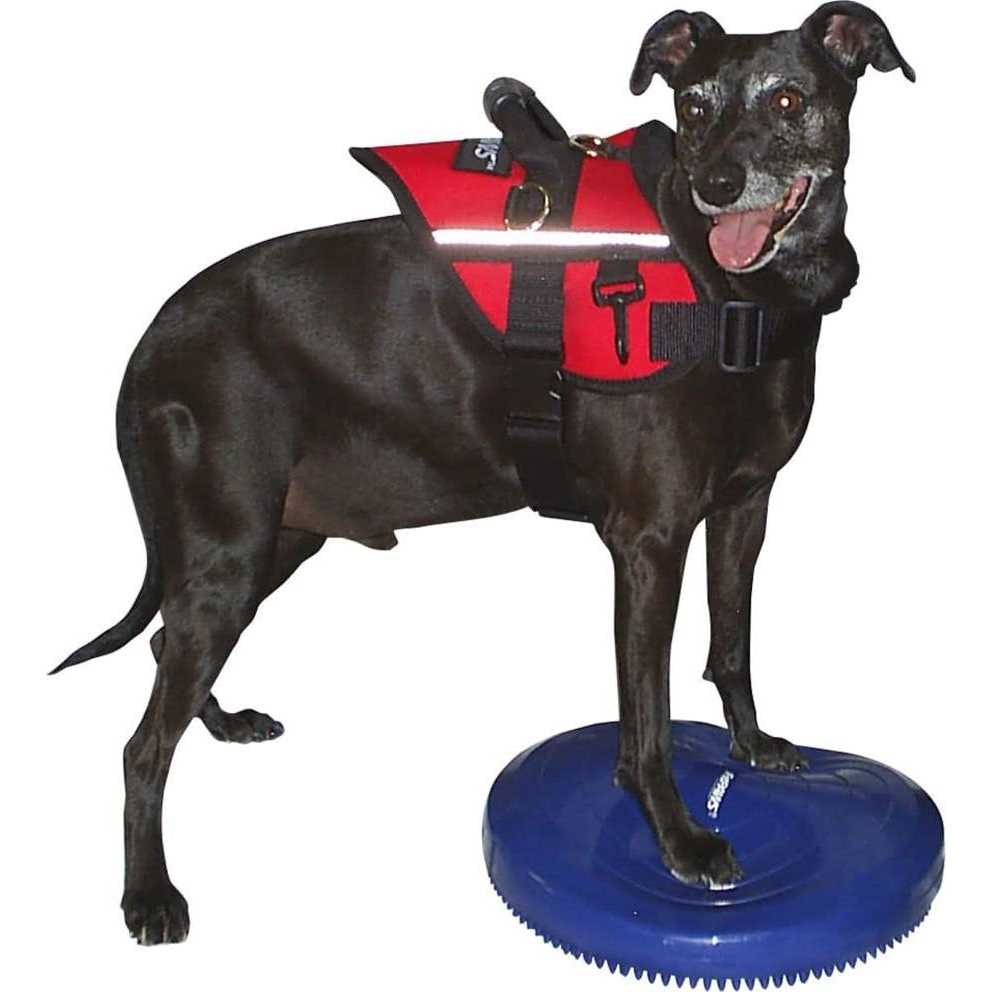 Balance Disc C212