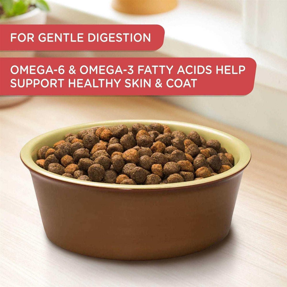 Salmon Veggies & Brown Recipe Dry Dog Food M852848