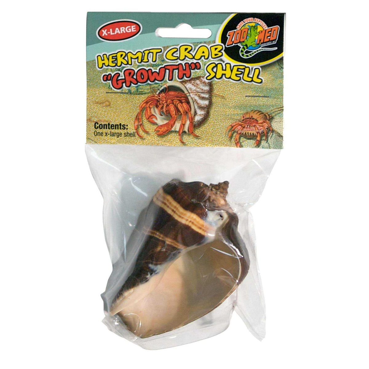 Hermit Crab Growth Shell N11346