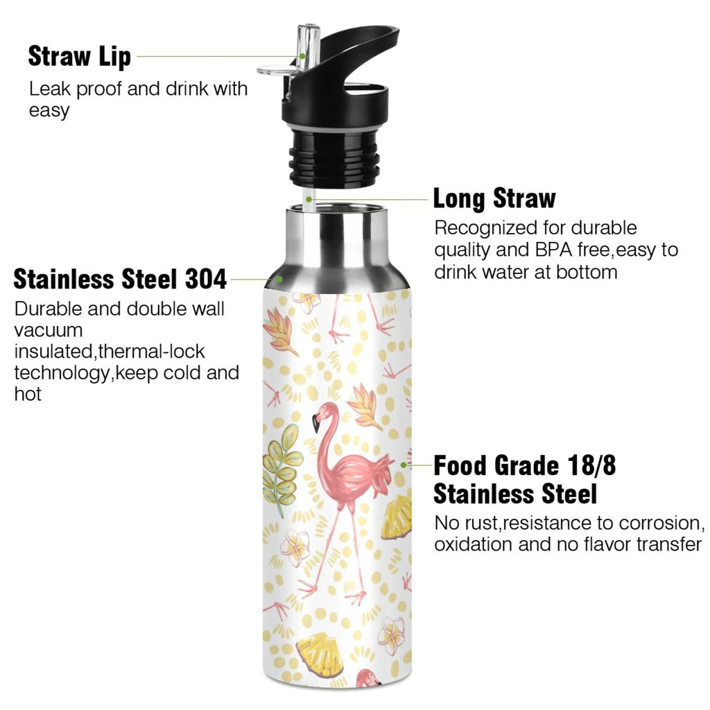 20 oz Insulated Stainless Steel Water Bottle with Straw Lid N778
