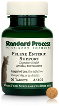 Enteric Support 90 Tablets B557928