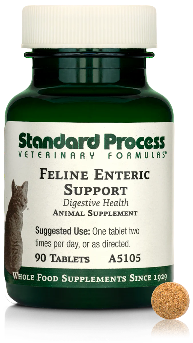 Enteric Support 90 Tablets B557928