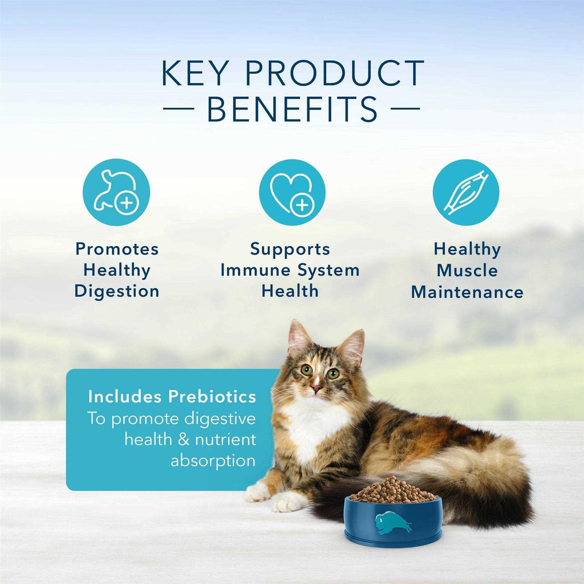 Adult Cat Dry Food H647275