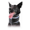 Cervical Collar R520
