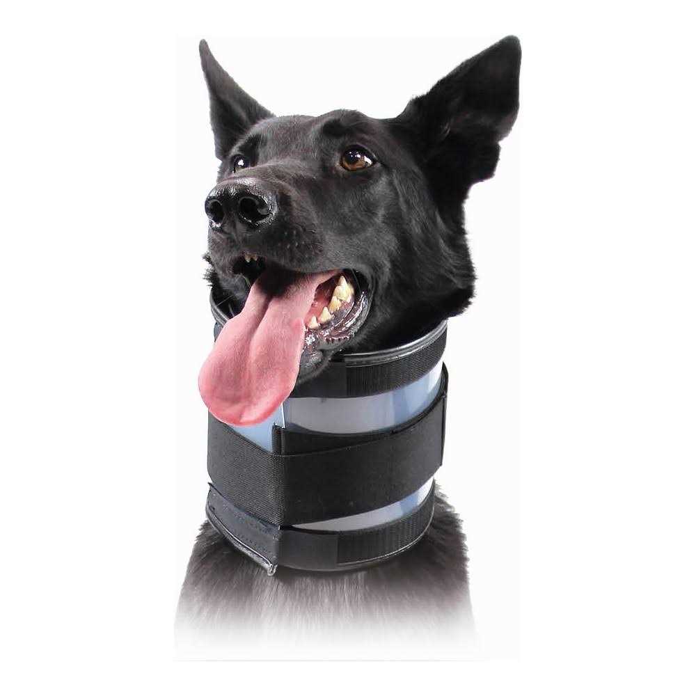 Cervical Collar R520