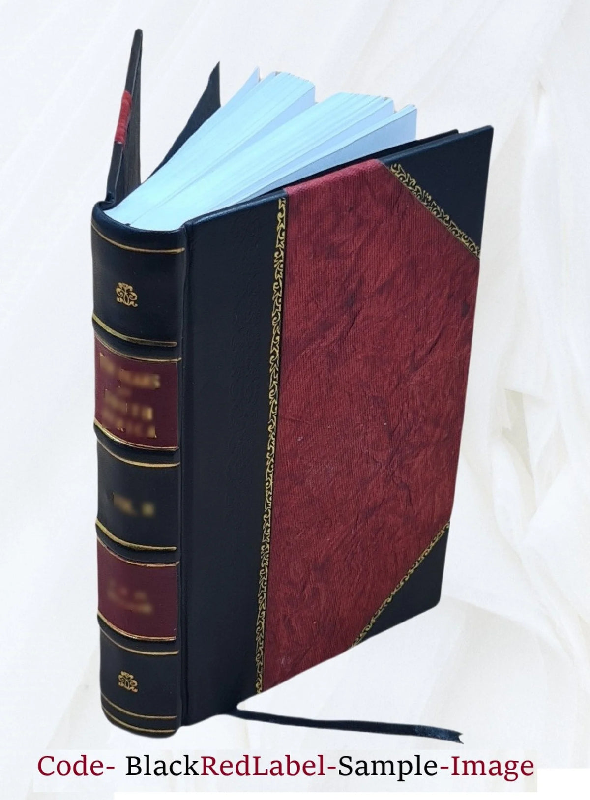 Charlotte Ackerman N45643