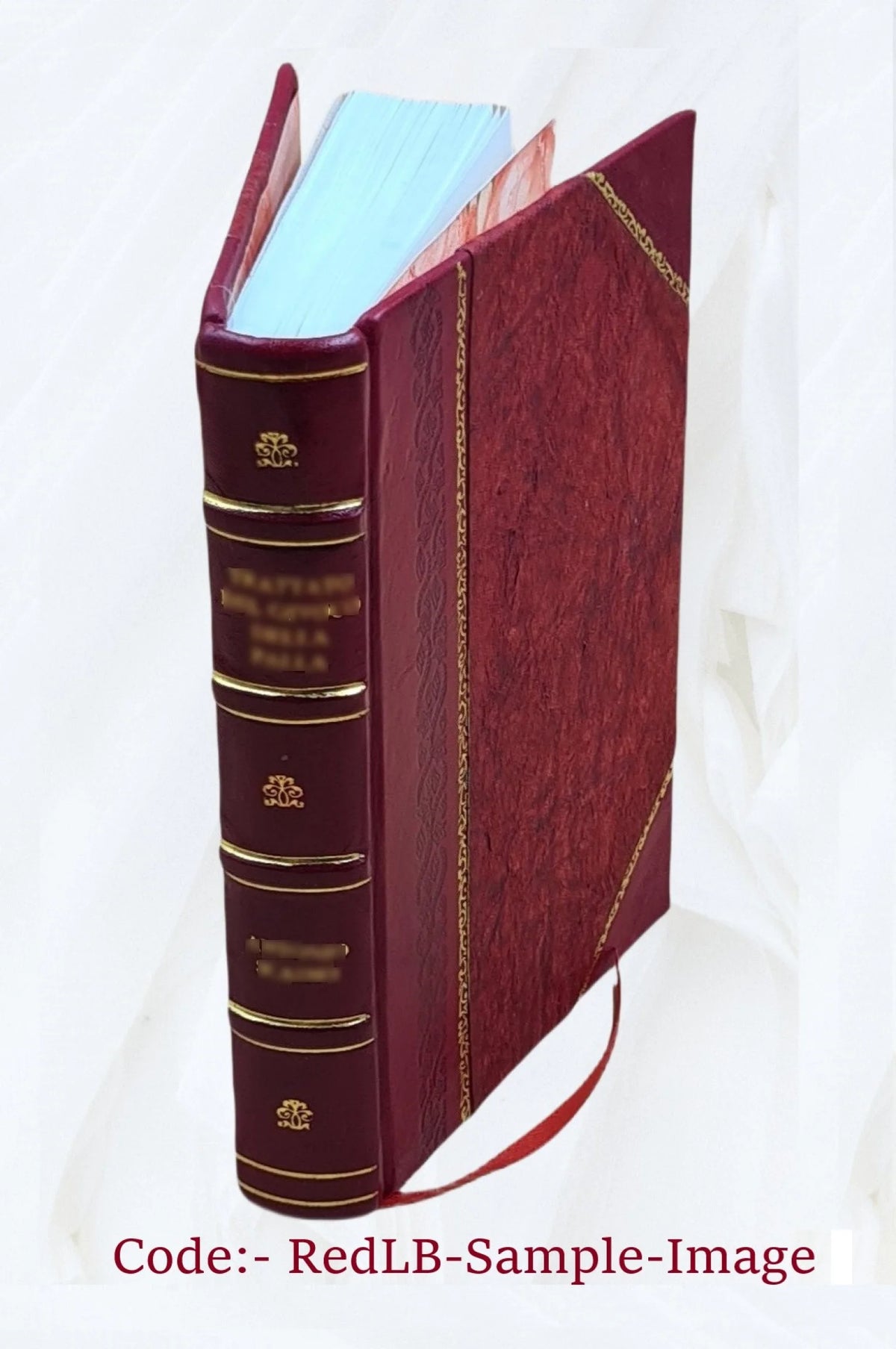 Charlotte Ackerman N45643